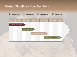 Lizard Threatened Green PowerPoint Template