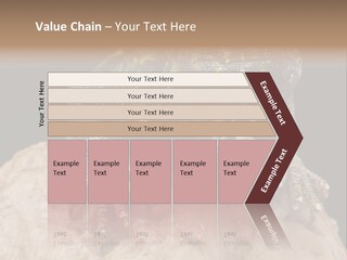 Lizard Threatened Green PowerPoint Template