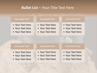 Lizard Threatened Green PowerPoint Template