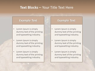 Lizard Threatened Green PowerPoint Template