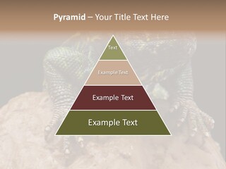 Lizard Threatened Green PowerPoint Template
