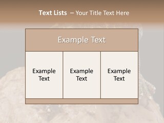 Lizard Threatened Green PowerPoint Template