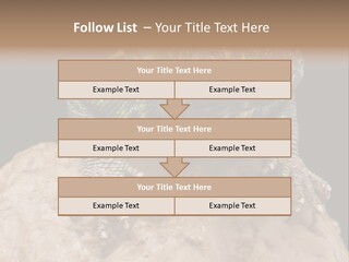 Lizard Threatened Green PowerPoint Template