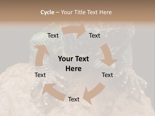 Lizard Threatened Green PowerPoint Template