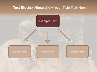 Lizard Threatened Green PowerPoint Template