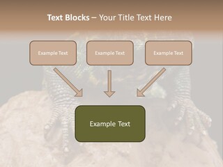 Lizard Threatened Green PowerPoint Template