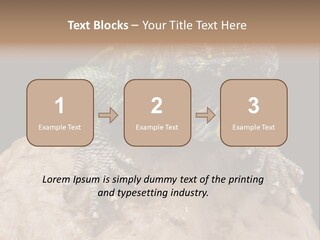 Lizard Threatened Green PowerPoint Template