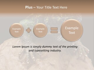 Lizard Threatened Green PowerPoint Template