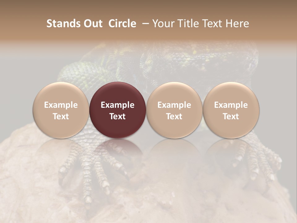 Lizard Threatened Green PowerPoint Template