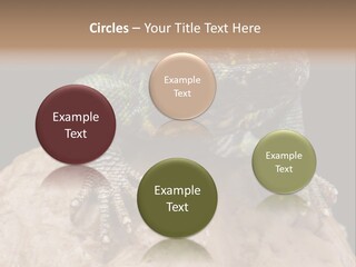 Lizard Threatened Green PowerPoint Template