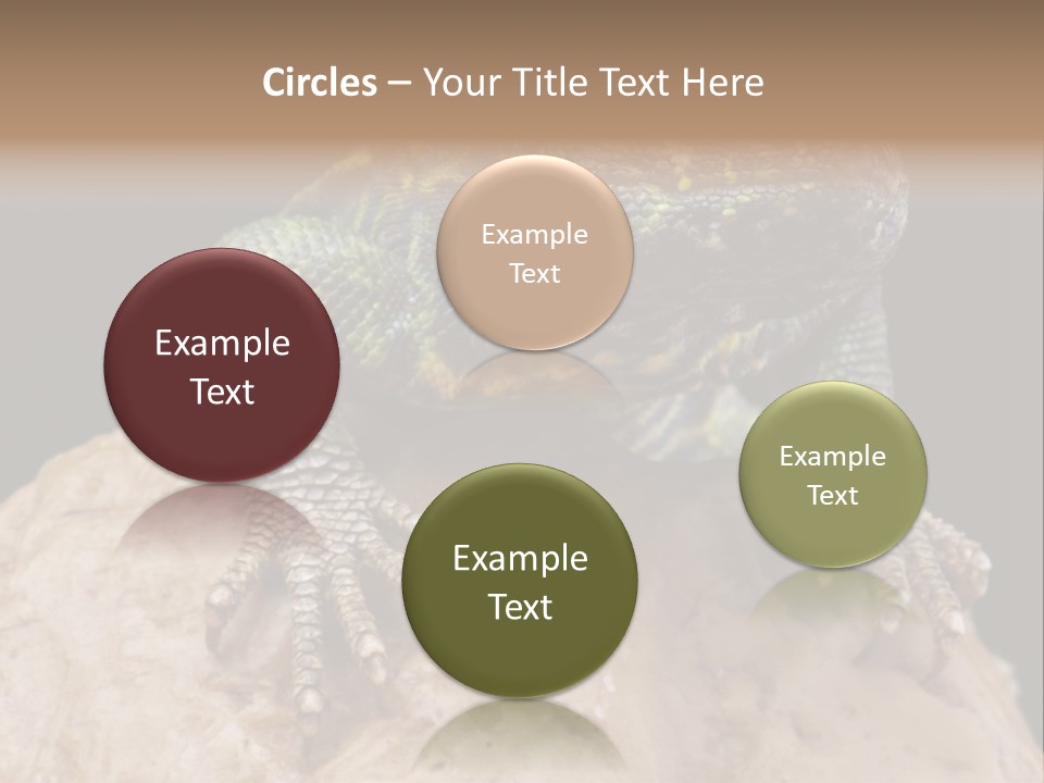 Lizard Threatened Green PowerPoint Template
