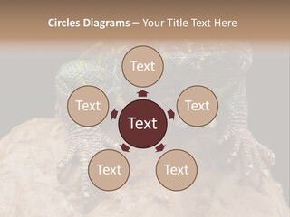 Lizard Threatened Green PowerPoint Template