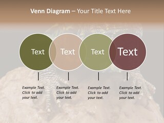 Lizard Threatened Green PowerPoint Template