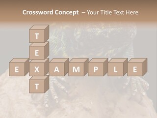 Lizard Threatened Green PowerPoint Template