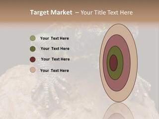 Lizard Threatened Green PowerPoint Template