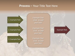 Lizard Threatened Green PowerPoint Template