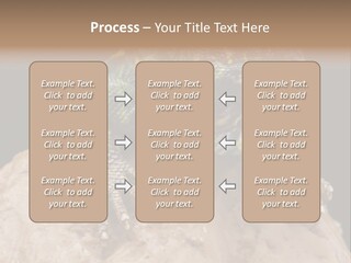 Lizard Threatened Green PowerPoint Template