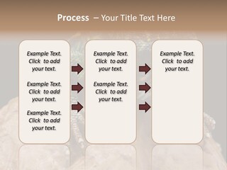 Lizard Threatened Green PowerPoint Template