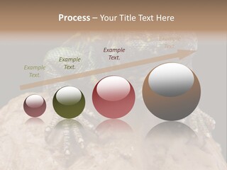 Lizard Threatened Green PowerPoint Template