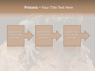 Lizard Threatened Green PowerPoint Template