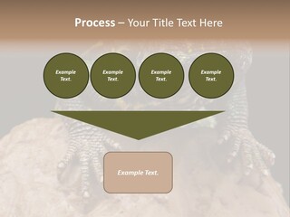 Lizard Threatened Green PowerPoint Template