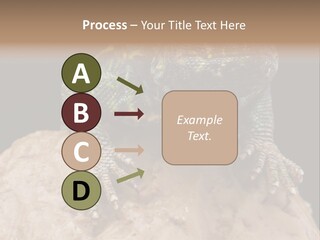 Lizard Threatened Green PowerPoint Template