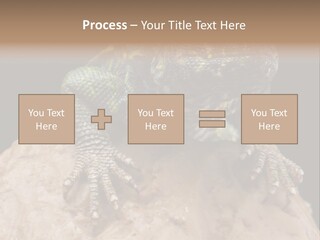 Lizard Threatened Green PowerPoint Template
