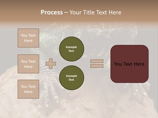 Lizard Threatened Green PowerPoint Template