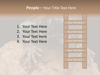 Lizard Threatened Green PowerPoint Template