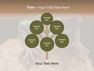 Lizard Threatened Green PowerPoint Template
