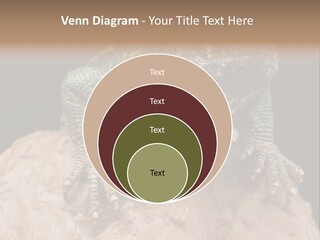 Lizard Threatened Green PowerPoint Template