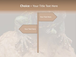 Lizard Threatened Green PowerPoint Template