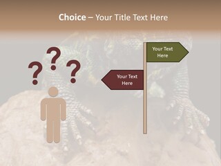 Lizard Threatened Green PowerPoint Template