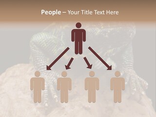 Lizard Threatened Green PowerPoint Template