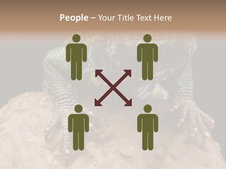Lizard Threatened Green PowerPoint Template