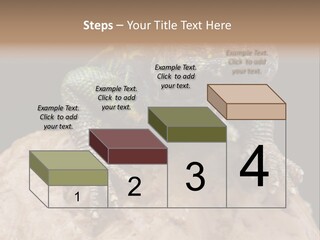 Lizard Threatened Green PowerPoint Template
