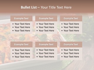 Fresh Cuisine Tortilla PowerPoint Template