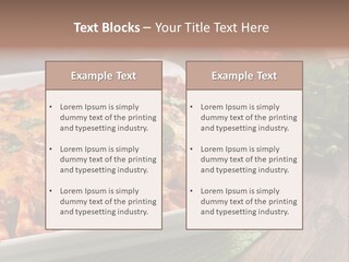 Fresh Cuisine Tortilla PowerPoint Template
