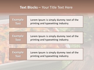 Fresh Cuisine Tortilla PowerPoint Template