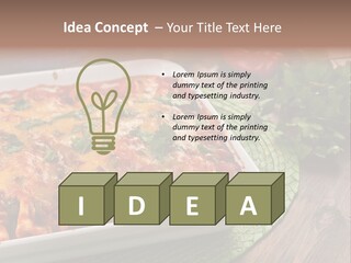 Fresh Cuisine Tortilla PowerPoint Template