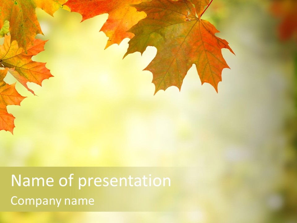Natural Border Cover PowerPoint Template