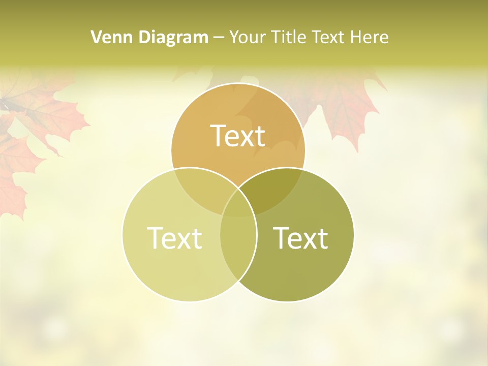 Natural Border Cover PowerPoint Template