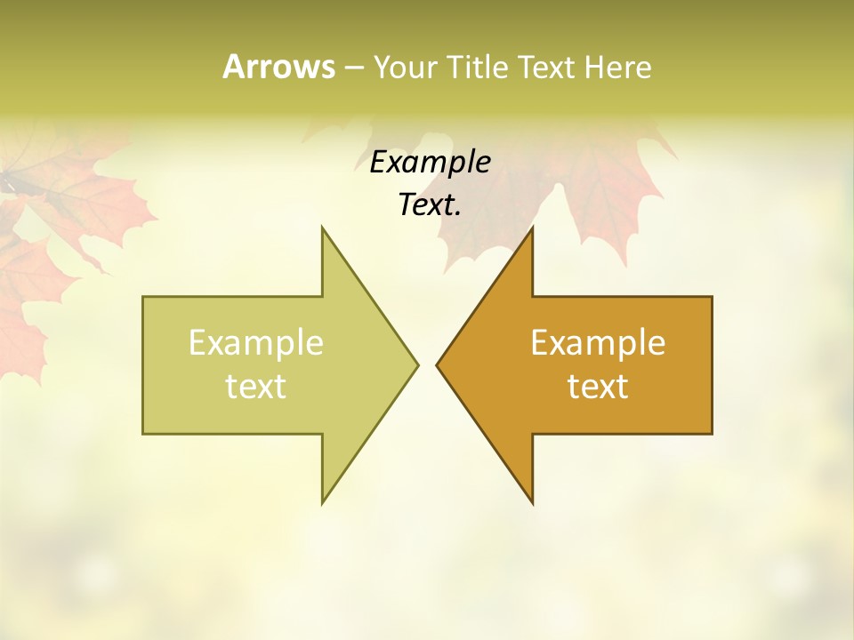Natural Border Cover PowerPoint Template