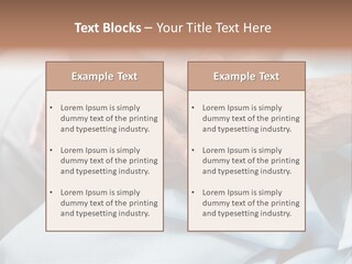 Elder Aged Wrinkled PowerPoint Template