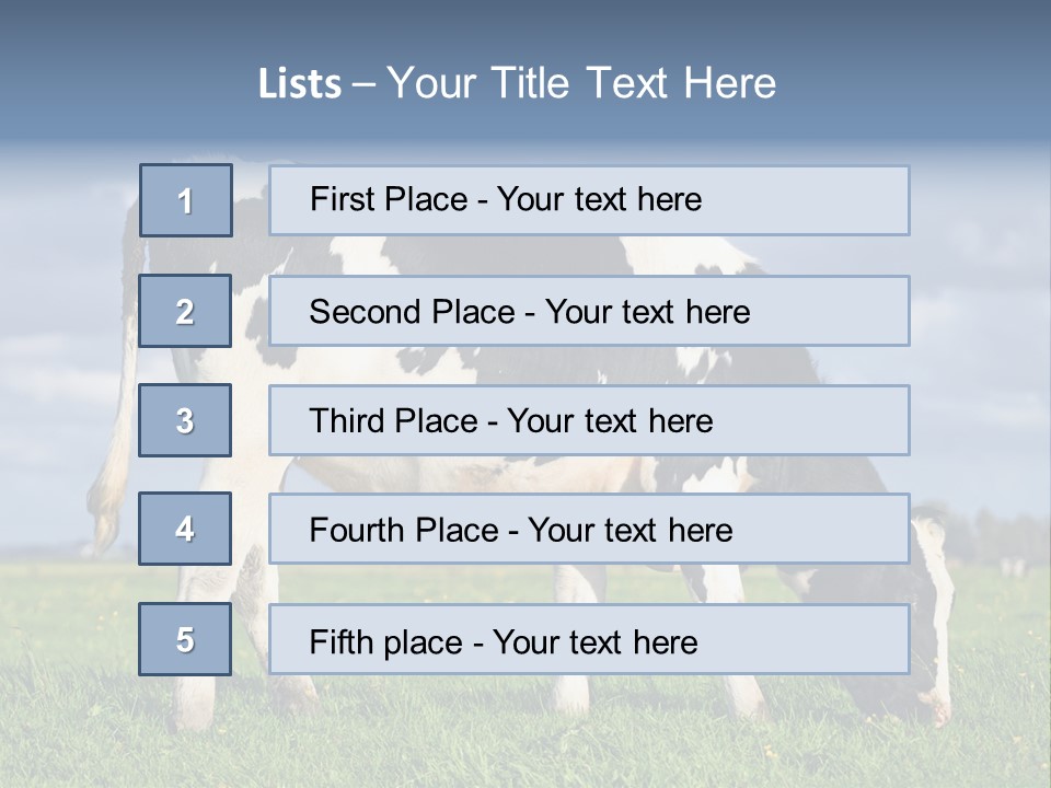 A Black And White Cow Grazing In A Field PowerPoint Template