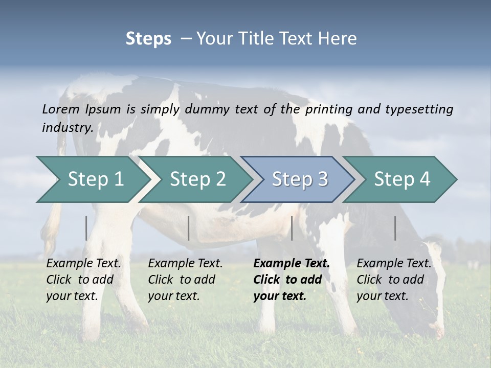 A Black And White Cow Grazing In A Field PowerPoint Template