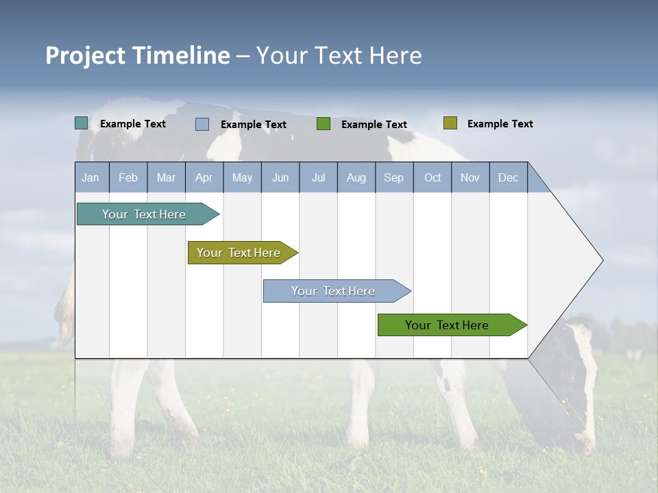 A Black And White Cow Grazing In A Field PowerPoint Template