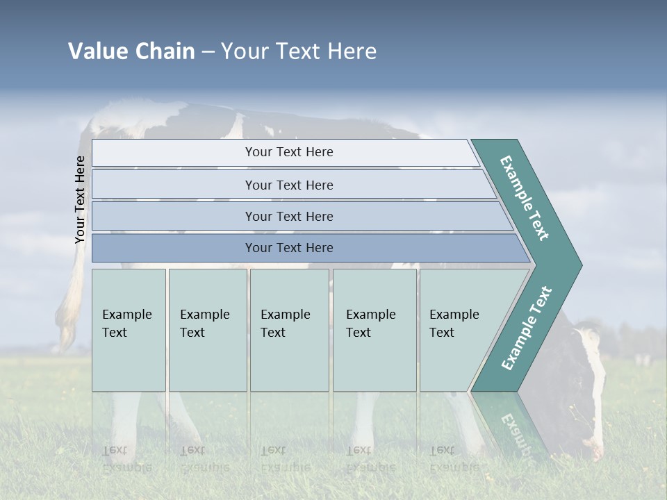 A Black And White Cow Grazing In A Field PowerPoint Template