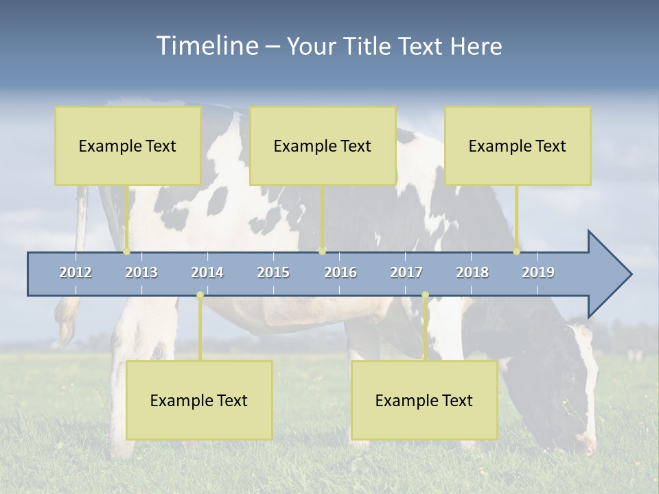 A Black And White Cow Grazing In A Field PowerPoint Template