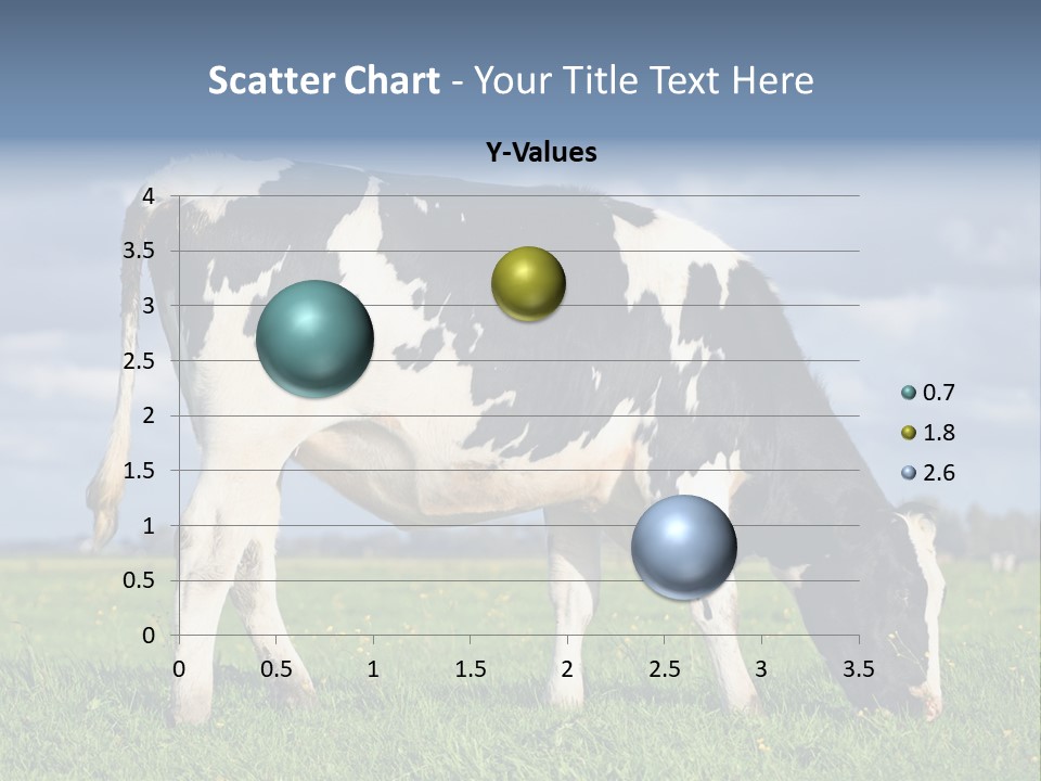 A Black And White Cow Grazing In A Field PowerPoint Template